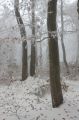 img_3225.jpg