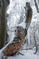 img_3238.jpg