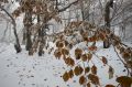 img_3250.jpg