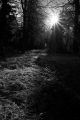 crw_7511-1.jpg