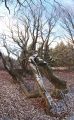crw_7522_a.jpg