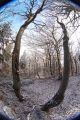 crw_7531.jpg