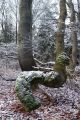 crw_7542.jpg
