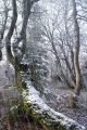 crw_7553.jpg