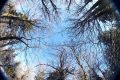 crw_7581.jpg